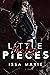 Little Broken Pieces (Shatt...