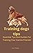 Training Dogs Tips: Essenti...