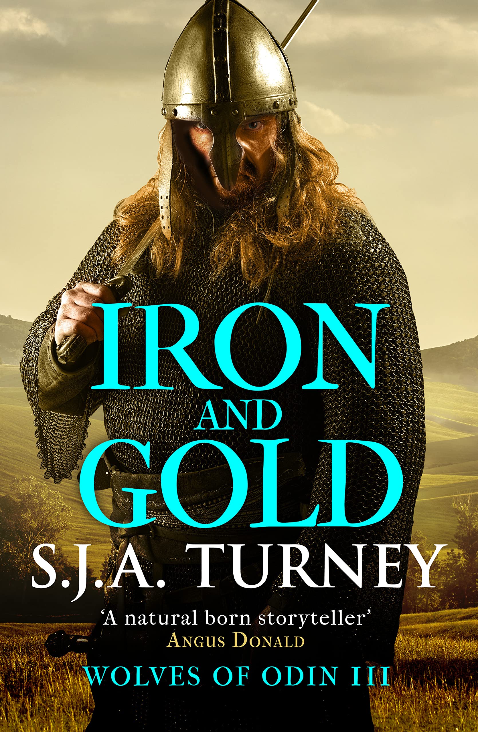 Iron and Gold (Wolves of Odin #3)