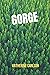 GORGE