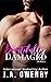 Beautifully Damaged (Beautifully Damaged #1)