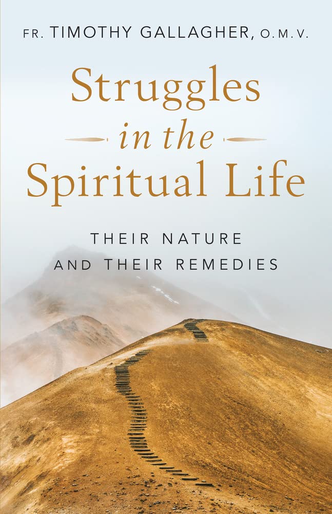 Struggles in the Spiritual Life: Their Nature and Their Remedies (Paperback)