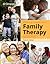 Mastering Competencies in Family Therapy: A Practical Approach to Theories and Clinical Case Documentation