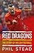Red Dragons: The Story of Welsh Football: New expanded edition