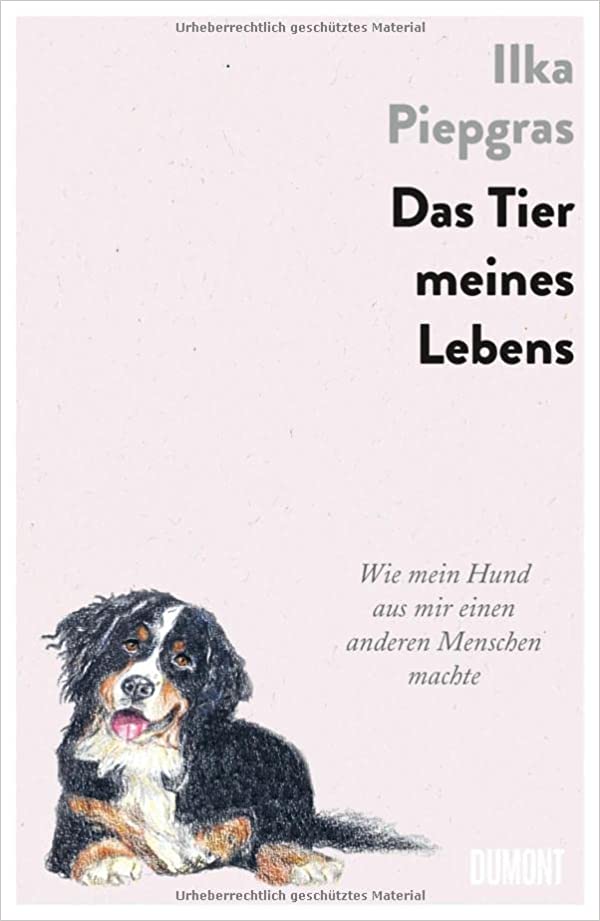 Das Tier meines Lebens: Wie mein Hund aus mir einen anderen Menschen machte