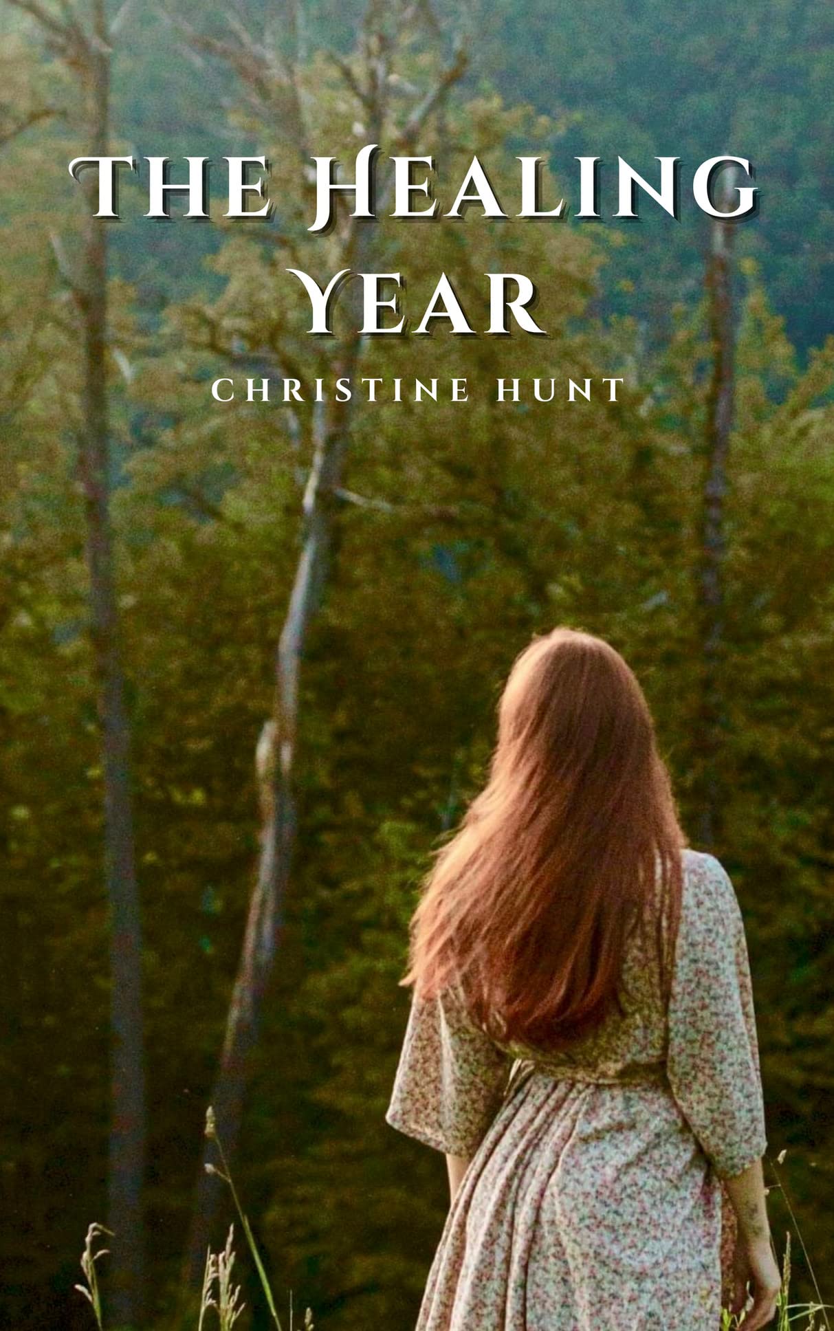 The Healing Year (Kindle Edition)