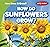 How Do Sunflowers Grow?