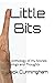 Little Bits: An Anthology o...