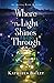 Where the Light Shines Through: An Olivia Penn Mystery (The Olivia Penn Mystery Series, #1)