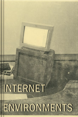 Internet Environments (Paperback)