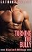Turning the Bully: A First-Time MMF Bisexual Menage (MMF Bisexual Erotic Short Stories)