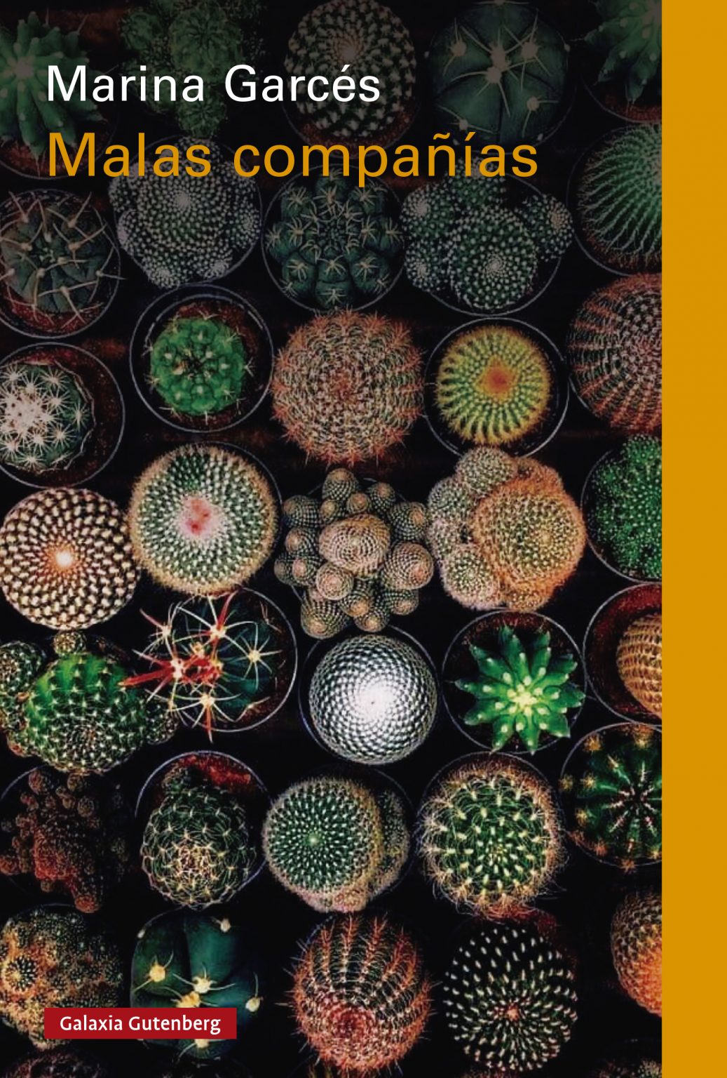 Malas compañías (Paperback)