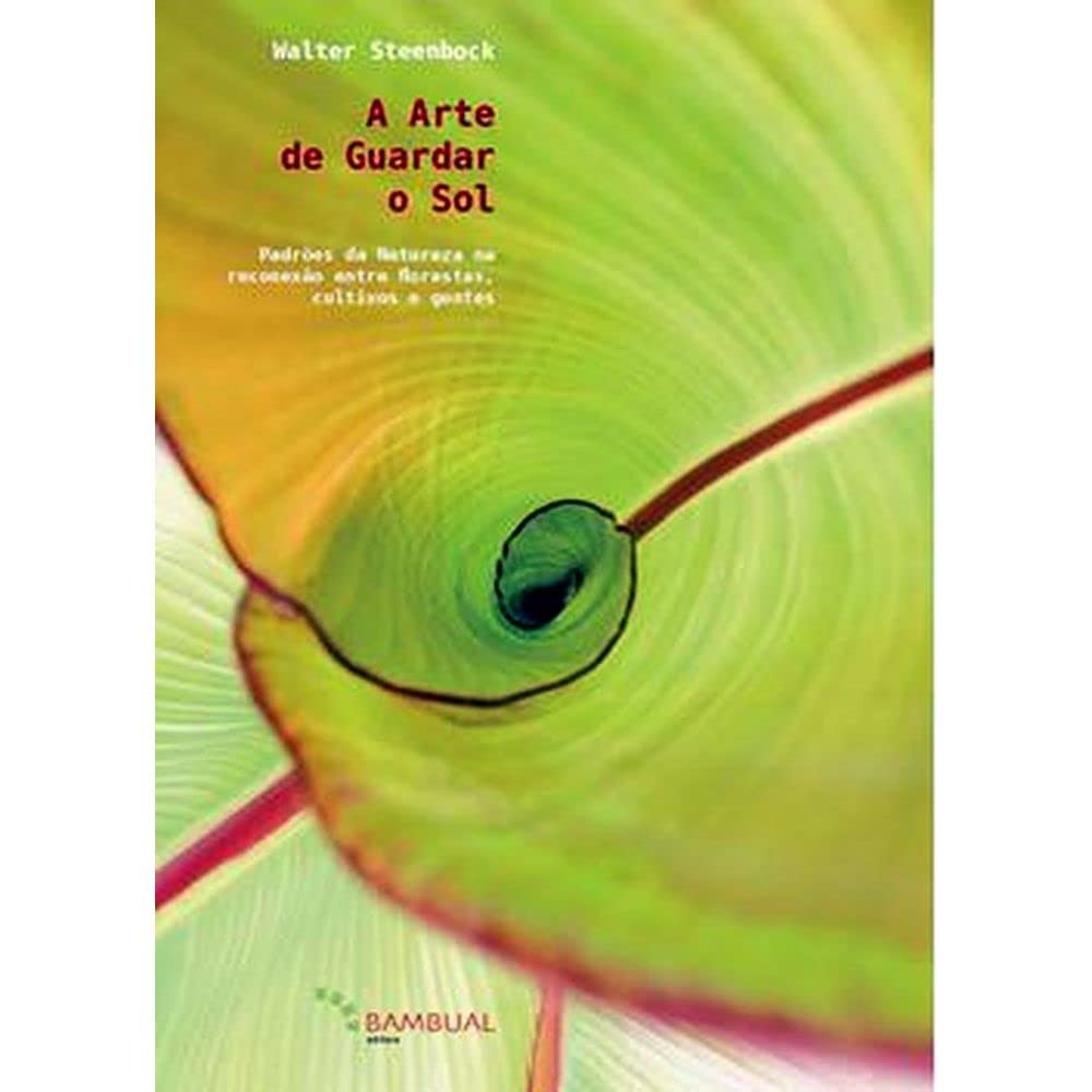 Arte de Guardar o Sol (Em Portugues do Brasil)