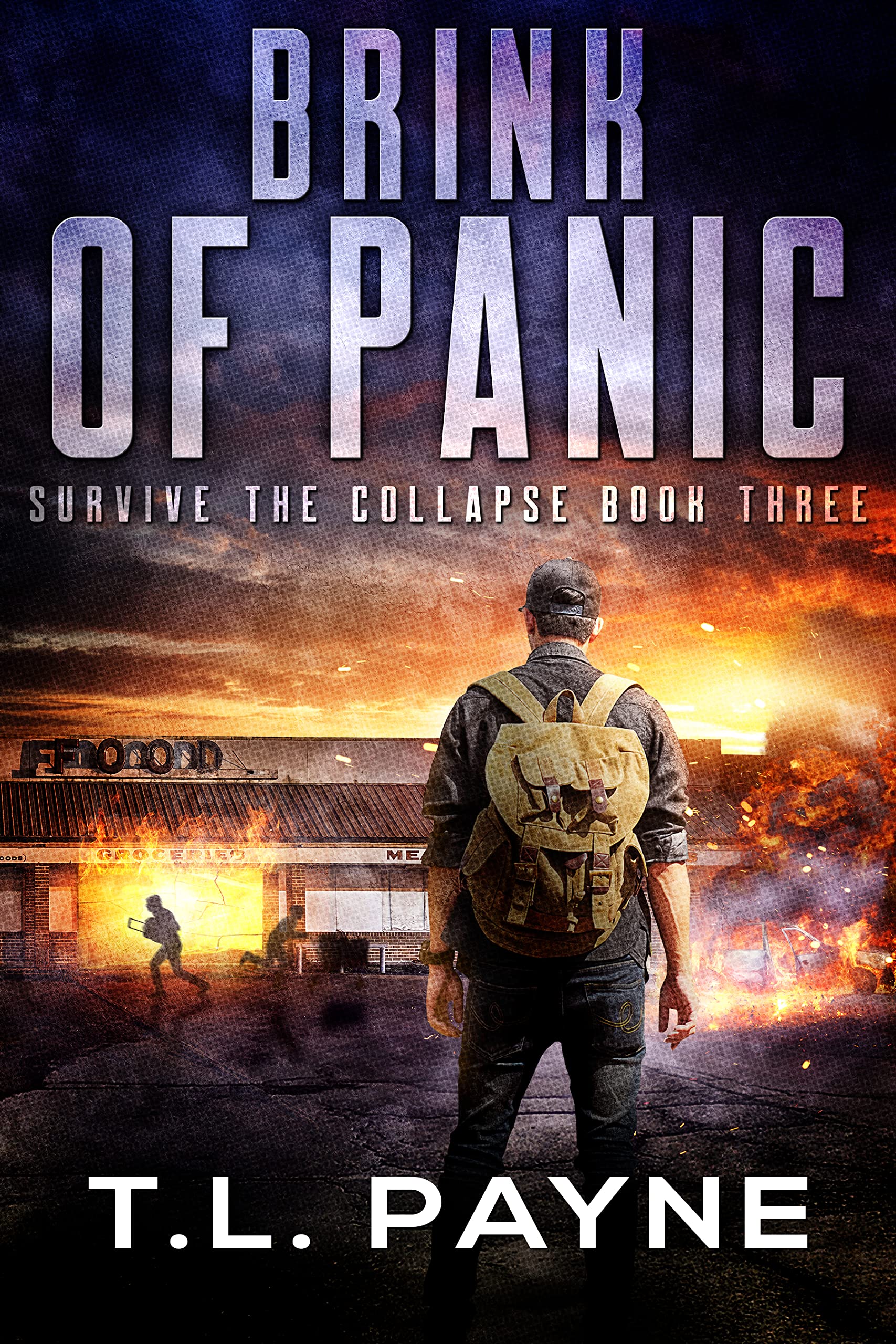 Brink of Panic (Survive the Collapse #3)