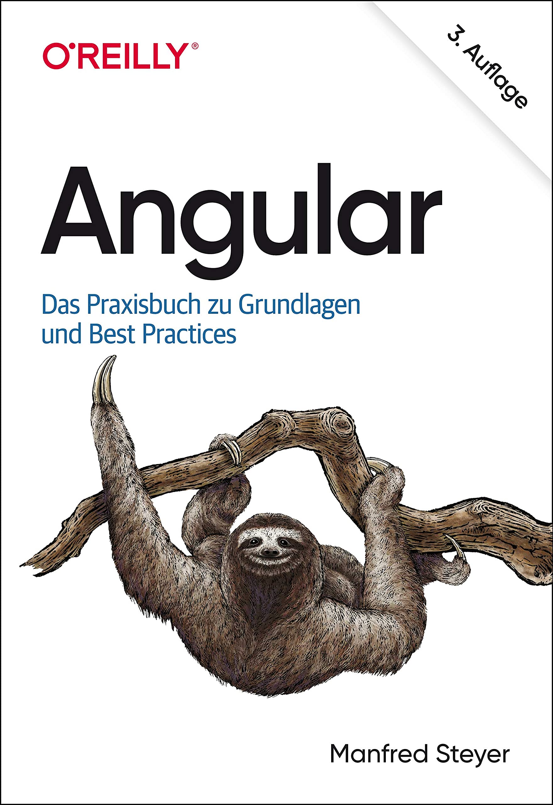 Angular: Das Praxisbuch zu Grundlagen und Best Practices (Paperback)