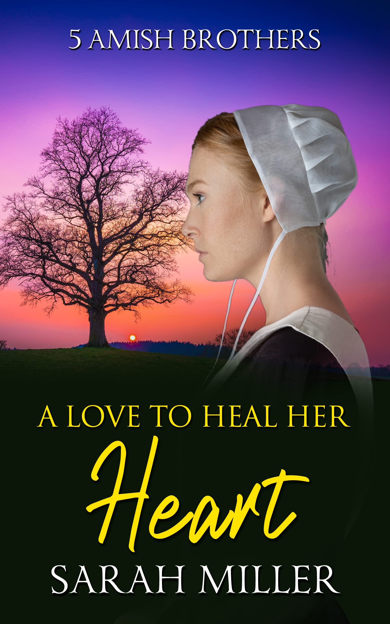 A Love to Heal Her Heart (5 Amish Brothers #1)