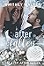 After Fallen (The Ever Afte...