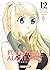 Fullmetal Alchemist Perfect, Tome 12