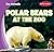 Polar Bears at the Zoo (Zoo Animals)