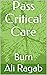 Pass Critical Care : Burn