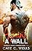 Against a Wall (Stonecut County #2)
