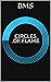 CIRCLES OF FLAME by BMS