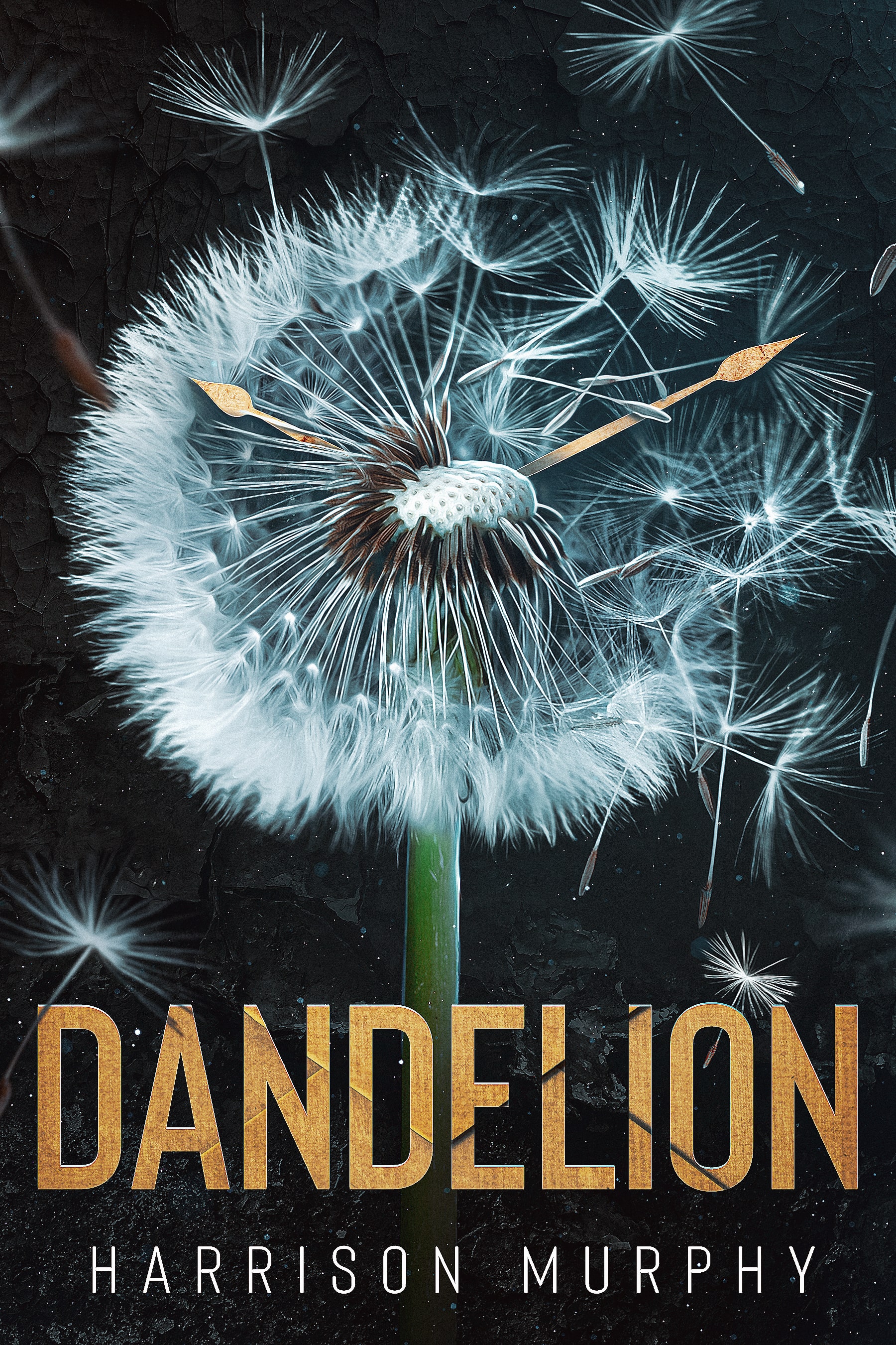Dandelion (Chrysalis, #2)