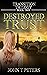 Destroyed Trust (Transition...