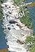 Travel Far: The Four Book 2