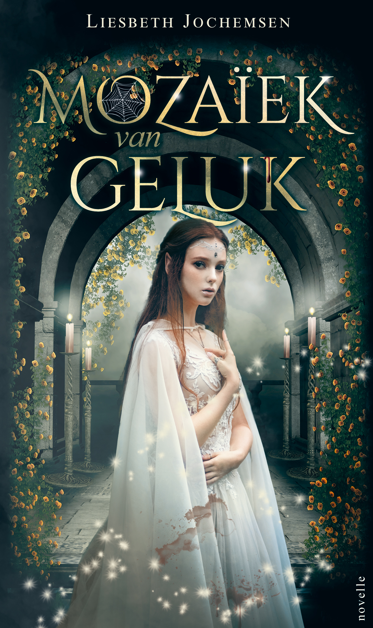 Mozaïek van Geluk (Paperback)