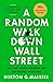 A Random Walk Down Wall Street by Burton G. Malkiel