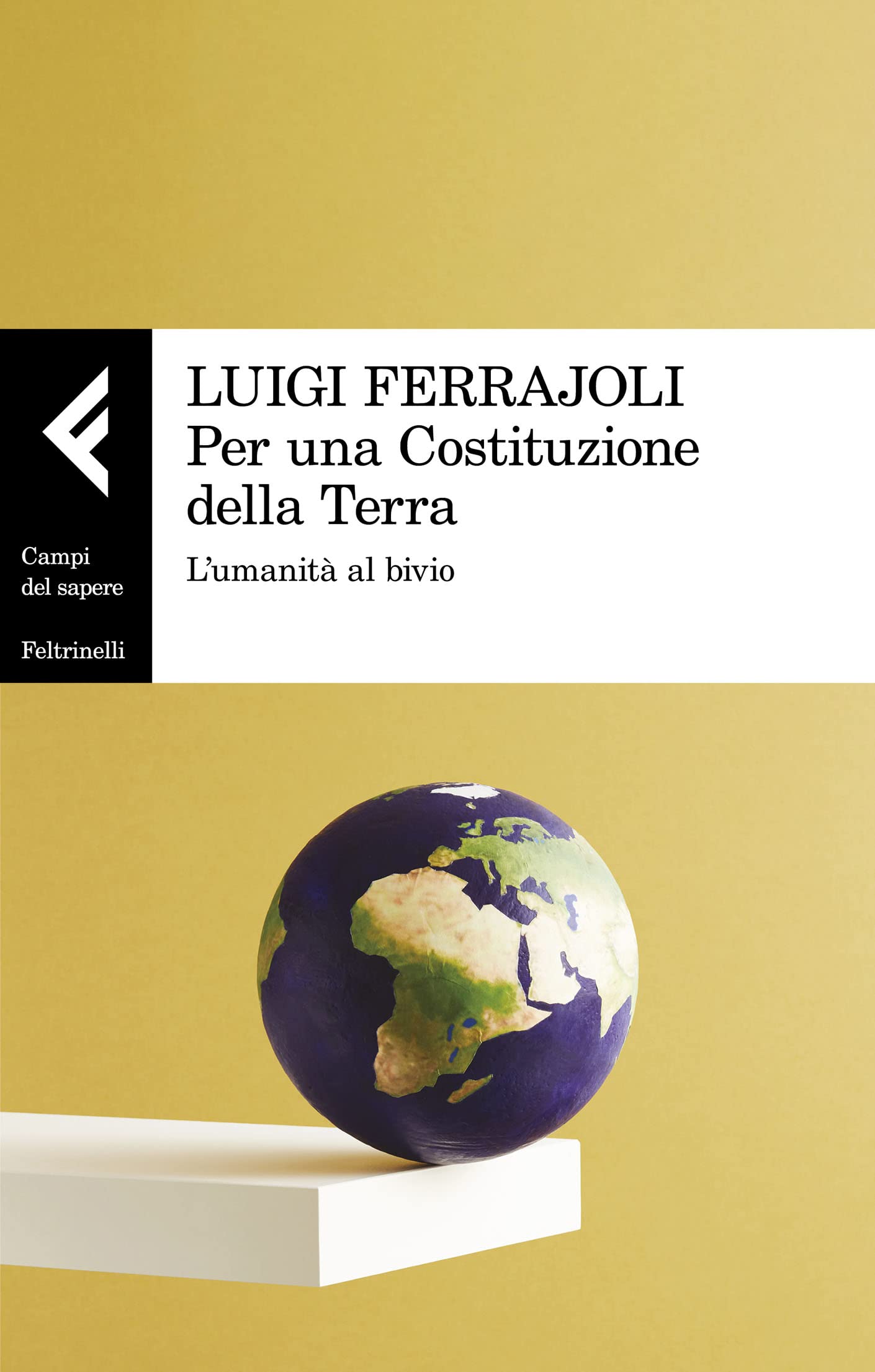 Per una Costituzione della Terra: L'umanità al bivio (Italian Edition)