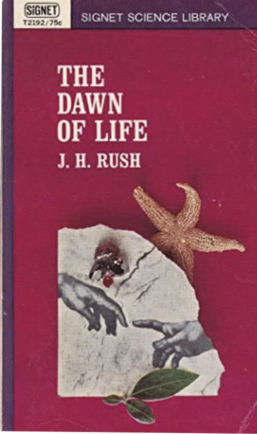 The Dawn of Life (Paperback)