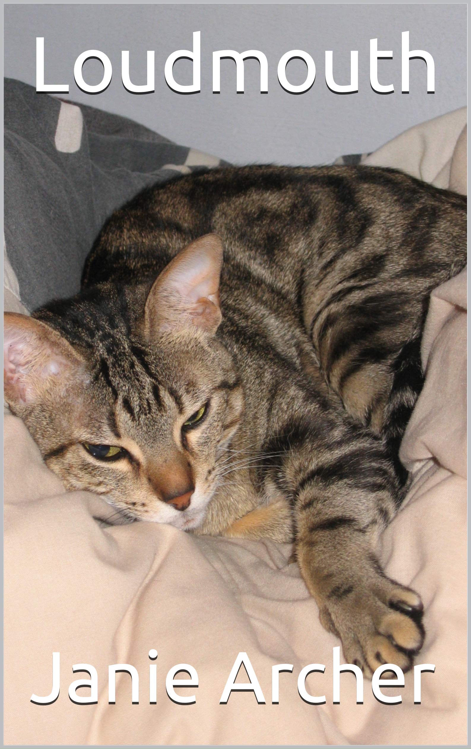 Loudmouth (Kindle Edition)