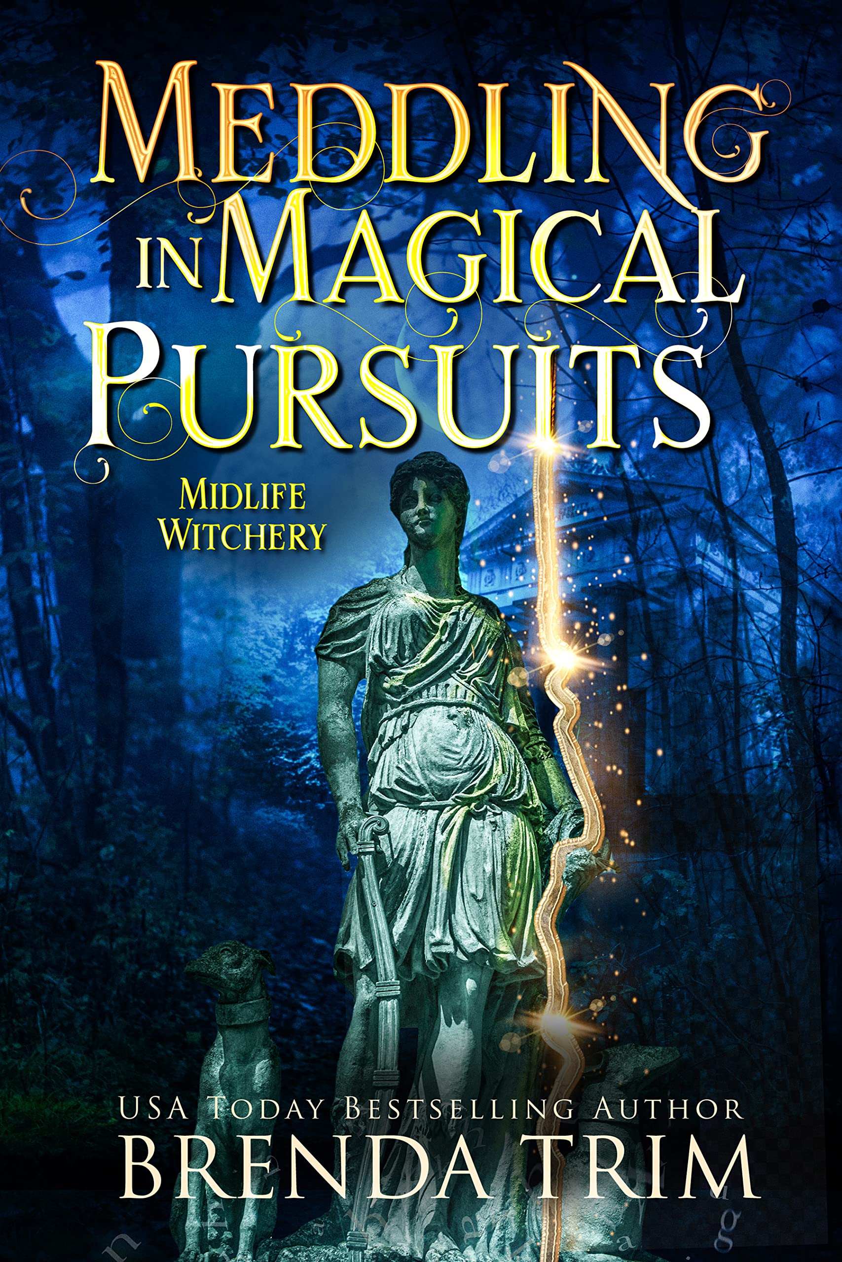 Meddling in Magical Pursuits (Midlife Witchery, #13; Midlife Mysteries & Magic, #30)