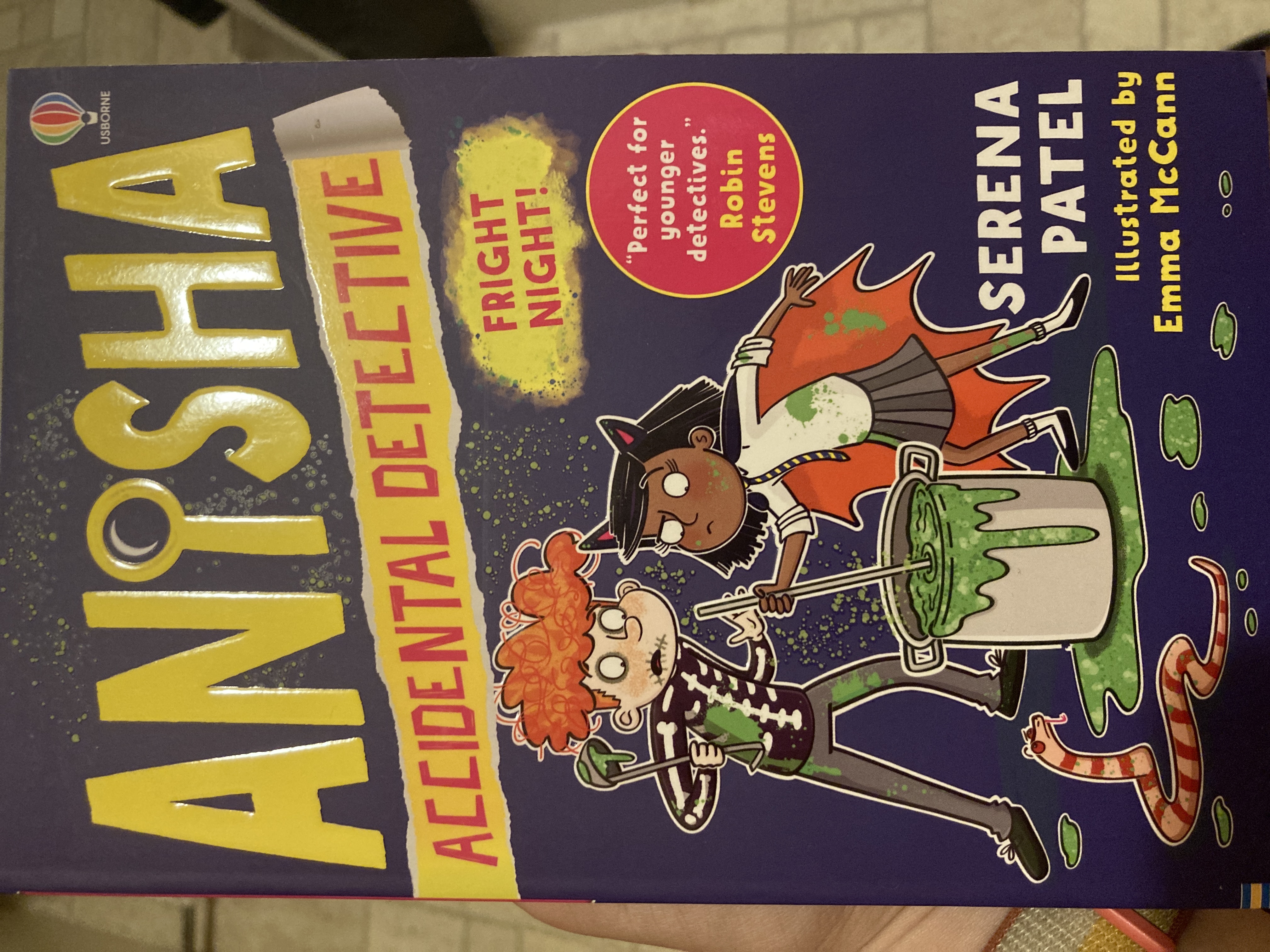 Fright Night  (Anisha Accidental Detective, #6)