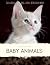 Picture Book of Baby Animal...