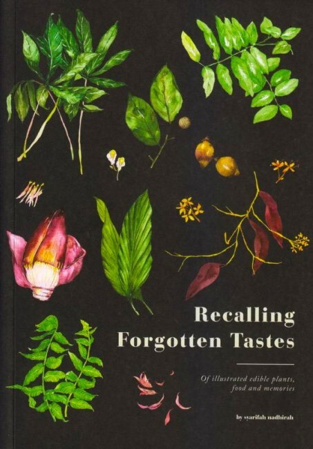 Recalling Forgotten Tastes : Of Illustrated Edible Plants, Food and Memories (Paperback)