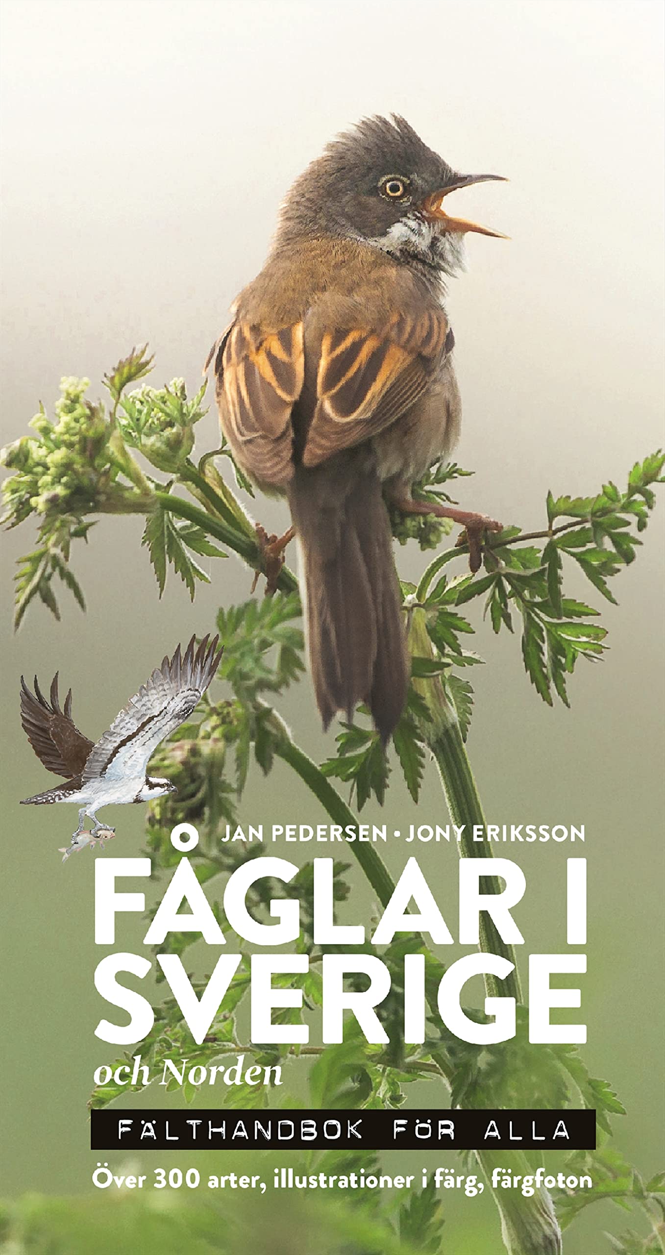 Fåglar i Sverige och Norden : fälthandbok för alla (Paperback)