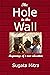 The Hole in the Wall by Sugata Mitra