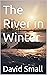 The River in Winter