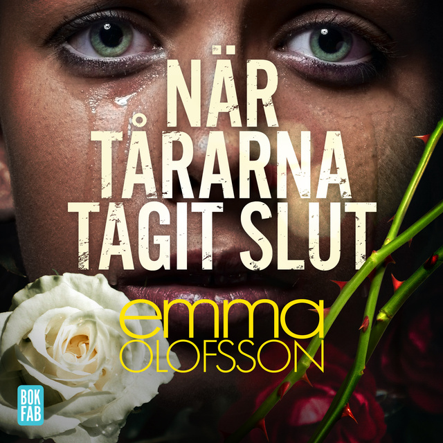 När tårarna tagit slut (Karlshamnsserien #3)