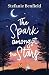 The Spark Amongst the Stars: A Fun Romantic Comedy Road Trip