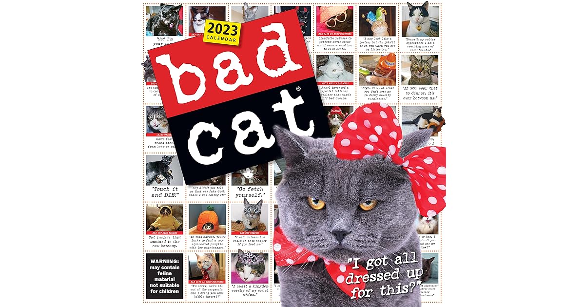 Bad Cat Wall Calendar 2023 By Workman Calendars