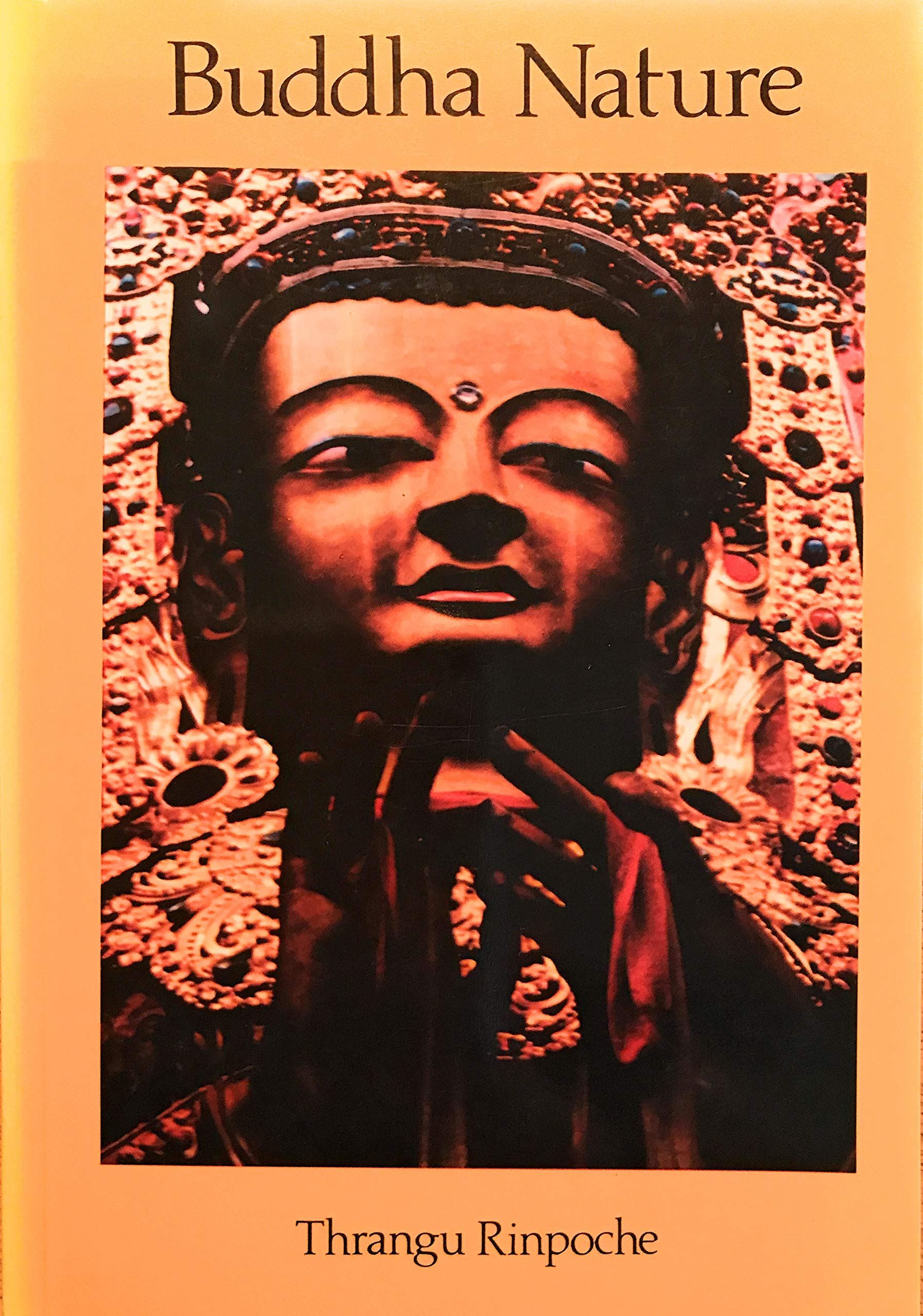 Buddha nature: Ten teachings on the Uttara Tantra Shastra (Paperback)