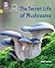 The Secret Life of Mushroom...
