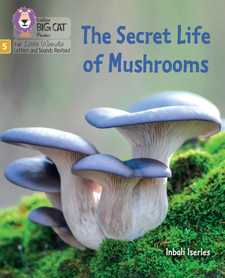 The Secret Life of Mushrooms: Phase 5 Set 4 Stretch and challenge
