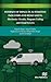 Internet of Things in Automotive Industries and Road Safety by Raghuveer Chimata