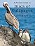 A Pocket Guide to Birds of Galápagos by Tui De Roy