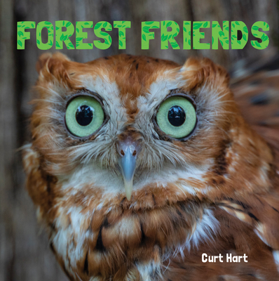 Forest Friends (Animal Lovers)